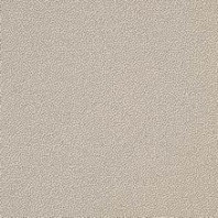 TRM26061 Taurus Granit 61 SRM Tunis dlaždice 19,8x19,8x0,9