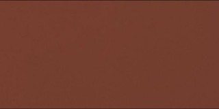 Dlažba Burgund 30X14.8X1.1
