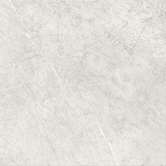 Stone paradise light grey matt 59,3x59,3