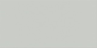 PS800 grey satin 29,8x59,8