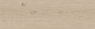 Sandwood cream 18,5x59,8