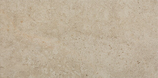 Bihara brown 29,8x59,8